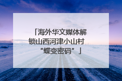 海外华文媒体解锁山西河津小山村“蝶变密码”