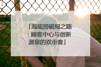 海底捞破局之路：顾客中心与创新源泉的双重奏