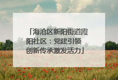 海沧区新阳街道霞阳社区：党建引领 创新传承激发活力
