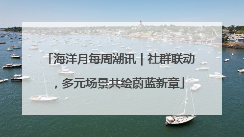 海洋月每周潮讯｜社群联动，多元场景共绘蔚蓝新章