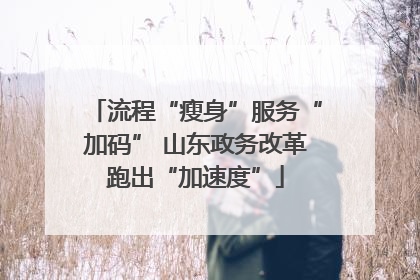 流程“瘦身”服务“加码” 山东政务改革跑出“加速度”