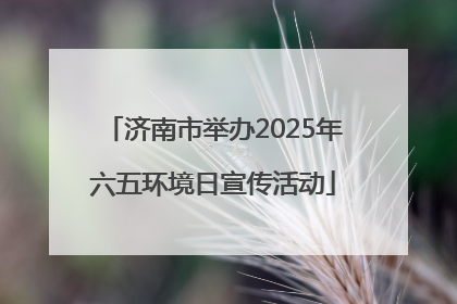 济南市举办2025年六五环境日宣传活动