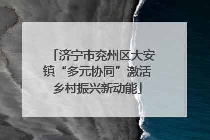 济宁市兖州区大安镇“多元协同”激活乡村振兴新动能