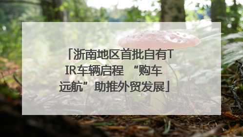 浙南地区首批自有TIR车辆启程 “购车远航”助推外贸发展