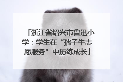 浙江省绍兴市鲁迅小学：学生在“孺子牛志愿服务”中历练成长