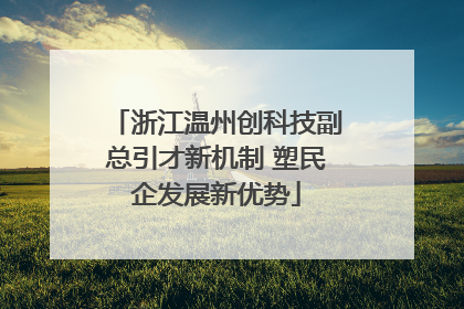 浙江温州创科技副总引才新机制 塑民企发展新优势