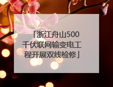 浙江舟山500千伏联网输变电工程开展双线检修