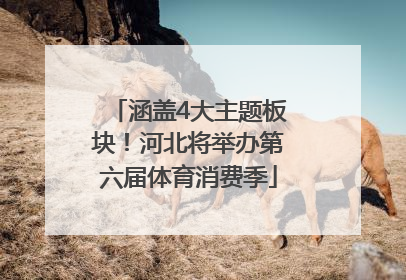 涵盖4大主题板块！河北将举办第六届体育消费季