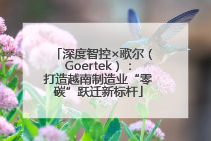 深度智控×歌尔（Goertek）：打造越南制造业“零碳”跃迁新标杆
