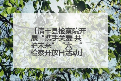 清丰县检察院开展“携手关爱 共护未来”“六一”检察开放日活动