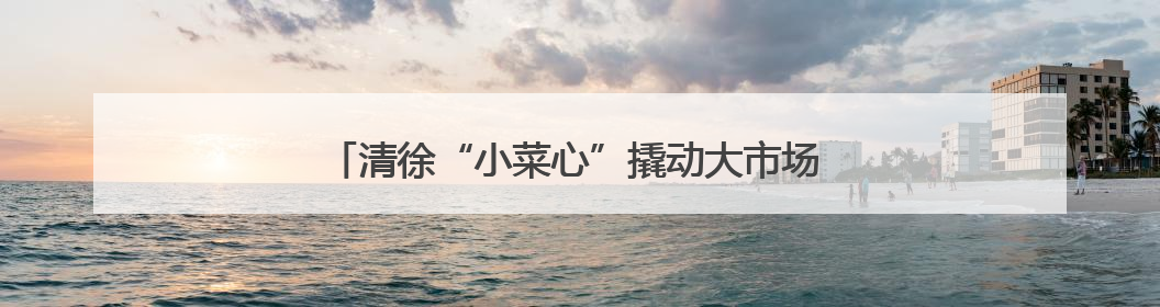 清徐“小菜心”撬动大市场 36小时直达粤港澳大湾区