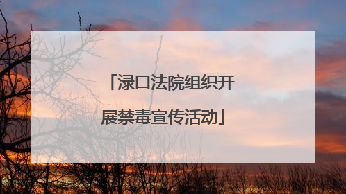 渌口法院组织开展禁毒宣传活动