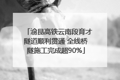渝昆高铁云南段育才隧道顺利贯通 全线桥隧施工完成超90%