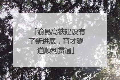 渝昆高铁建设有了新进展，育才隧道顺利贯通