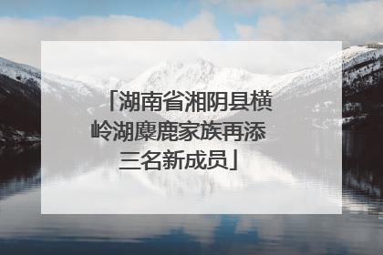 湖南省湘阴县横岭湖麋鹿家族再添三名新成员