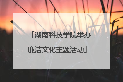 湖南科技学院举办廉洁文化主题活动