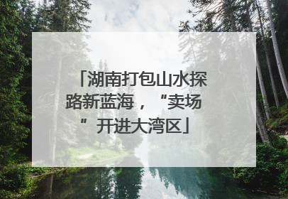 湖南打包山水探路新蓝海，“卖场”开进大湾区