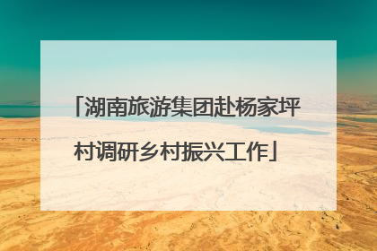 湖南旅游集团赴杨家坪村调研乡村振兴工作