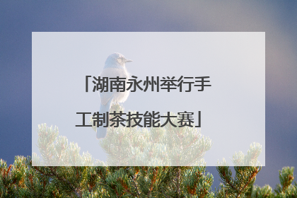 湖南永州举行手工制茶技能大赛