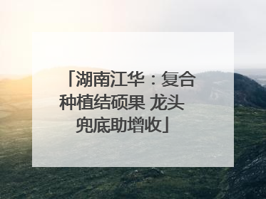 湖南江华：复合种植结硕果 龙头兜底助增收