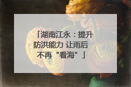 湖南江永：提升防洪能力 让雨后不再“看海”