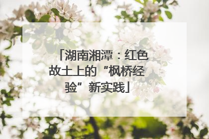 湖南湘潭：红色故土上的“枫桥经验”新实践