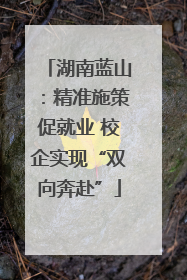 湖南蓝山：精准施策促就业 校企实现“双向奔赴”