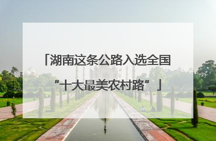湖南这条公路入选全国“十大最美农村路”
