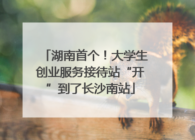 湖南首个！大学生创业服务接待站“开”到了长沙南站