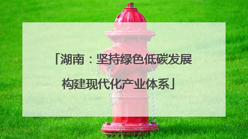 湖南：坚持绿色低碳发展 构建现代化产业体系
