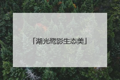 湖光鹭影生态美