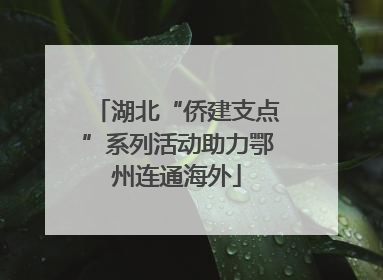 湖北“侨建支点”系列活动助力鄂州连通海外