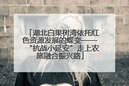 湖北白果树湾依托红色资源发展的蝶变——“抗战小延安”走上农旅融合振兴路
