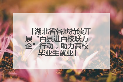 湖北省各地持续开展“百县进百校联万企”行动，助力高校毕业生就业