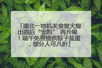 湖北一地机关食堂火爆出圈后“宠粉” 再升级！端午免费提供粽子盐蛋，部分人可八折