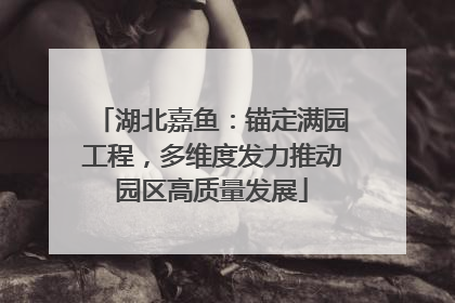 湖北嘉鱼：锚定满园工程，多维度发力推动园区高质量发展
