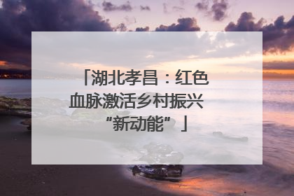 湖北孝昌：红色血脉激活乡村振兴“新动能”