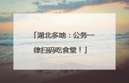 湖北多地：公务一律扫码吃食堂！