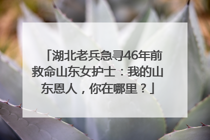湖北老兵急寻46年前救命山东女护士：我的山东恩人，你在哪里？