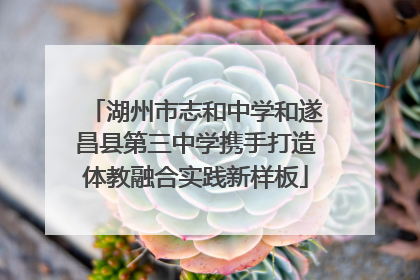 湖州市志和中学和遂昌县第三中学携手打造体教融合实践新样板