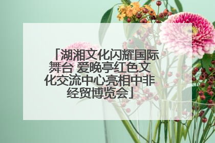 湖湘文化闪耀国际舞台 爱晚亭红色文化交流中心亮相中非经贸博览会
