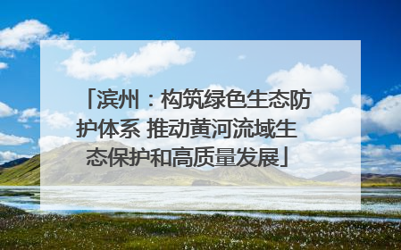 滨州：构筑绿色生态防护体系 推动黄河流域生态保护和高质量发展