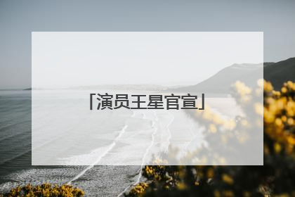 演员王星官宣