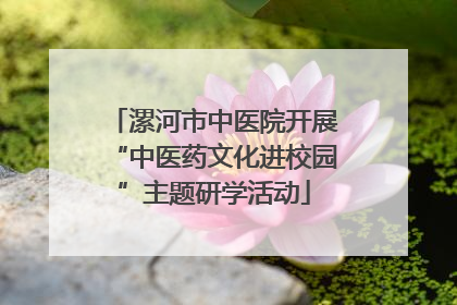 漯河市中医院开展“中医药文化进校园”主题研学活动