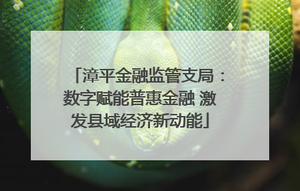 漳平金融监管支局：数字赋能普惠金融 激发县域经济新动能