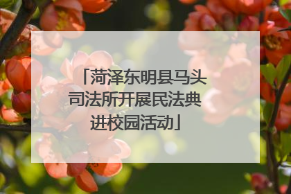 菏泽东明县马头司法所开展民法典进校园活动