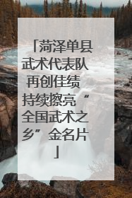 菏泽单县武术代表队再创佳绩 持续擦亮“全国武术之乡”金名片