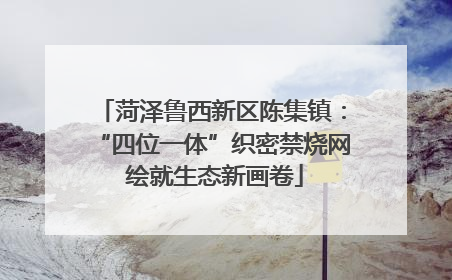 菏泽鲁西新区陈集镇：“四位一体”织密禁烧网 绘就生态新画卷
