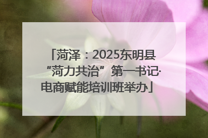 菏泽：2025东明县“菏力共治”第一书记·电商赋能培训班举办