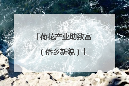 荷花产业助致富（侨乡新貌）